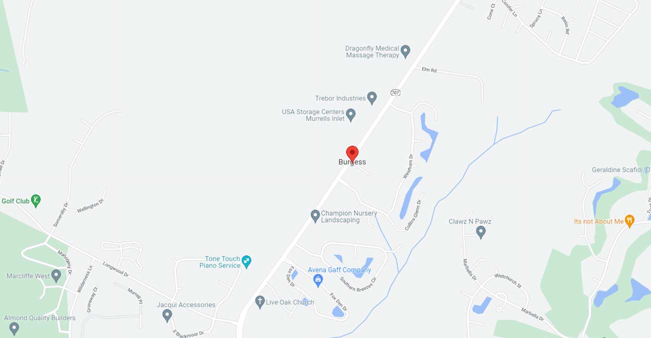 Burgess South Carolina 29576 Map